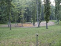 714239-Pond.JPG