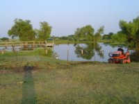 675749-pond.JPG