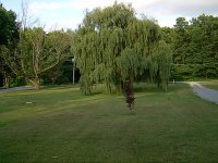675936-IM000452.JPG
