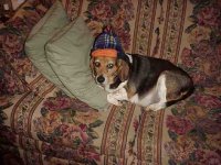 751577-Sadie Fudd.JPG