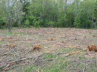 714734-Alder Brush Mowing - South 40 - a.jpg