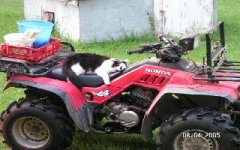 714804-Bop 4wheel0007.JPG