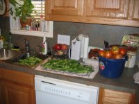 714826-Garden 001.jpg