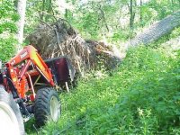 676455-uproot1.jpg