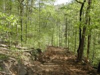 632890-Resized_Down road after 2.jpg