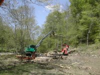 632893-Resized_Loader with pulp wood.jpg