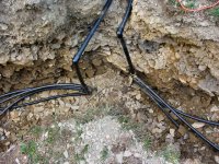836670-more headers.JPG