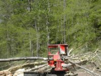 632899-Resized_Delimber sawing.jpg
