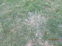 IMG_4215.jpg
