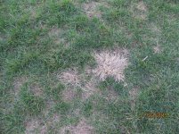 IMG_4216.jpg