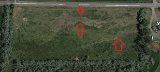 pasture.png pasture.png