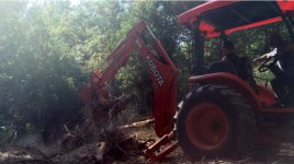 picking up tree.jpg