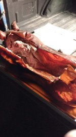 pig3.jpg