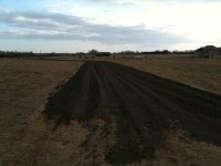 Progress pics 002.jpg