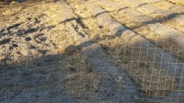 20160214_170050a.jpg