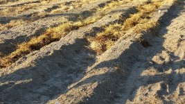 20160214_170148a.jpg