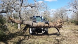 ImageUploadedByTractorByNet1457322724.663655.jpg