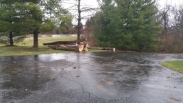 20160309_170917.jpg