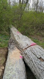 20160402_152039.jpg