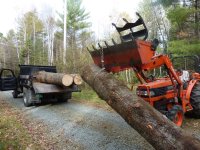 LoadingPine6.JPG