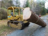 LoadingPine1.JPG
