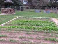 gardennov.jpg