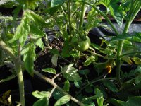 DSCF8180.JPG