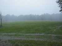 DSCN1174.JPG