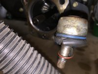 IMG_1486[1].JPG