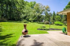 back yard2.jpg