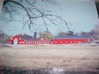 barn.JPG