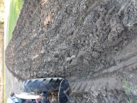 20160322_173345.jpg