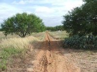 Water-Line03.jpg