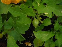 DSCF8326.JPG