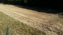 gas line food plot 2.jpg gas line food plot 2.jpg