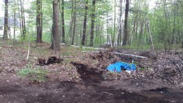 20160518_190550.jpeg