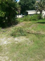 20160701_153934.jpg