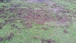 20160811_072235_resized.jpg