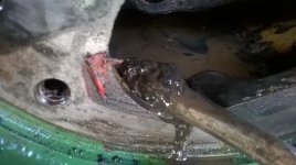 WP_20160302_14_53_47_Pro.jpg