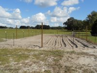 Ranch Garden 2.JPG