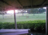 DSCN0925.JPG