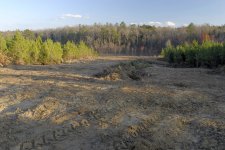 cabin field4 1.jpg