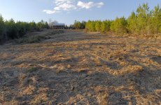 cabin field5 1.jpg