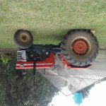 Massey 1.jpg