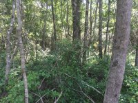 IMG_1480.JPG