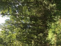 IMG_1483.JPG