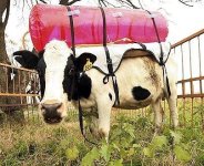methane collector.jpg