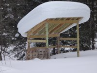 wood shed resize.jpg
