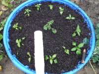 DSCF7840.JPG