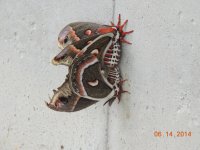 DSCN3583.JPG